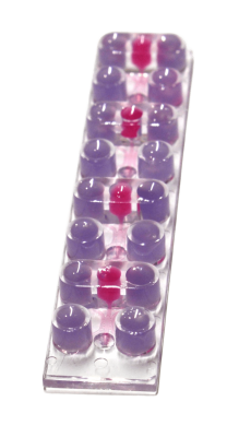 Boncyte-Chip-3-Channel