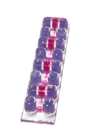 Boncyte-chip-Spheroid-
