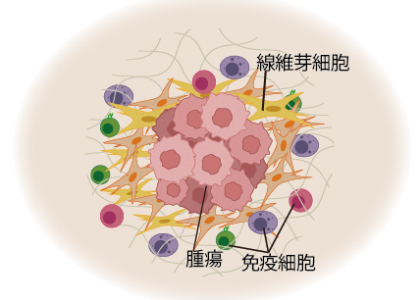 Fig_3D_TME